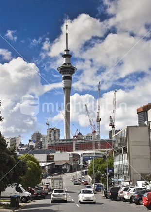 Auckland Skytower and Cranes on Sky Line