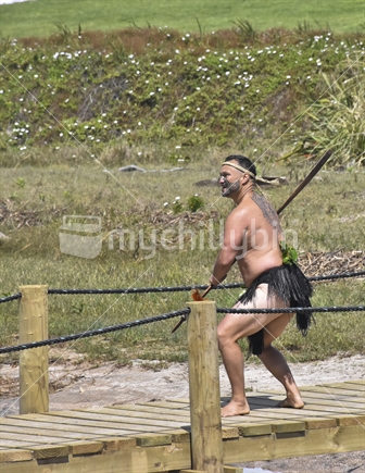 Maori Warrior performing Powhiri. Traditional costume