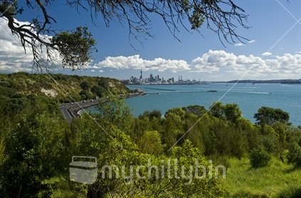 Auckland City and Harbour from Savage Memorial, New Zealand