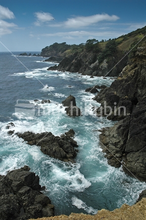 Cliffs between Leigh and Goat Island, Marine Reserve, New Zealand