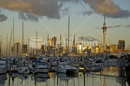 Westhaven yacht marina against Auckland skyline, New Zealand