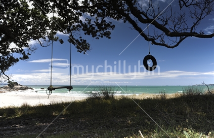 Waiting; board and tyre swings at beach, Coromandel, New Zealand