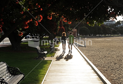 Pohutukawa blossom at sunset, with couple walking on boardwalk 
