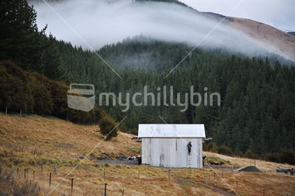 Corrugated Iron Shed, and Misty trees.