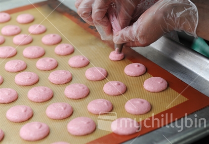 Chef piping Macaroons onto tray