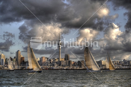 Yachts on Auckland Harbour, New Zealand