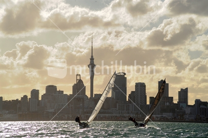 Yachts on Auckland Harbour, New Zealand