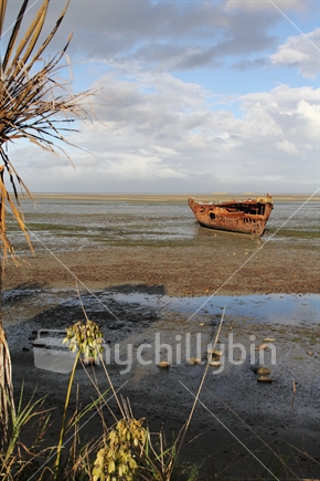 The wreck of the "Janie Seddon " on the Motueka estuary at low tide in the evening light.
