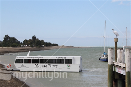 The Mapua Ferry carries bikes and daytrippers across the Waimea Inlet at Mapua to Rabbit Island, part of Tasman's Great Taste Trail