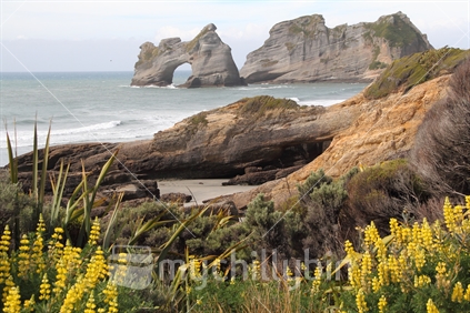 The arches at Wharariki Beach near Cape Farewell