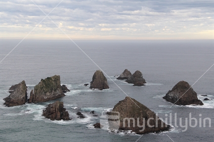 Islets off Nugget Point, Catlins coast, South Otago