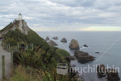 Nugget Point lighthouse and peninsula, Catlins coast, South Otago