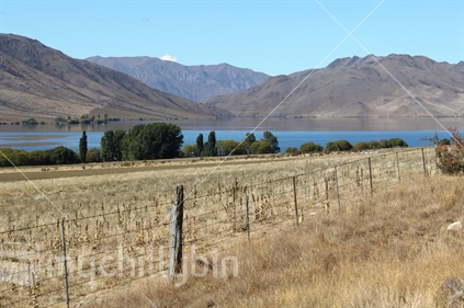 Lake Benmore, Central Otago and dry hills of the countryside, with fence line and pasture.