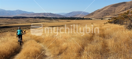 Freewheeling down the grassy slopes of the central Otago high country on the A2O (Alps to Ocean) bike trail