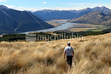 Walking across Bealey Ridge with view of Waimakariri River in the distance, near Arthur's Pass