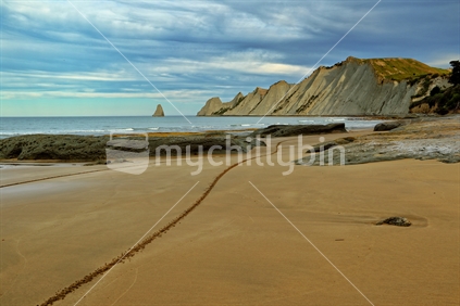 Track across the coastal sand on beach to Cape Kidnappers