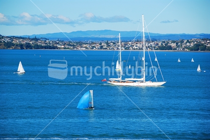 Yachts at Waitemata Harbour, Auckland, New Zealand