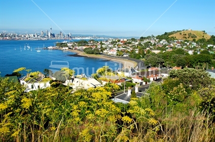 Summer Day in Devonport. View from North Head to Mount Victoria, New Zealand