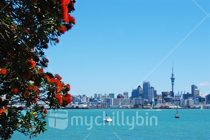 View from Devonport with Pohutukawa in the foreground to Waitemata Harbour and Auckland City.