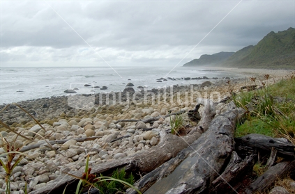 The beach off the Heaphy Track
