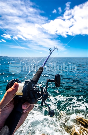 Hooked up on a snapper rock fishing in the Hauraki Gulf