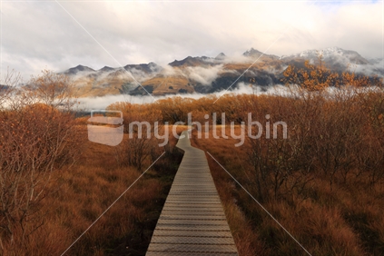 Walkway through the swamp, Glenorchy, South Island, New Zealand