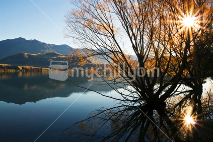 The morning sun shining through the trees and reflecting off the water of Lake Wanaka, New Zealand
