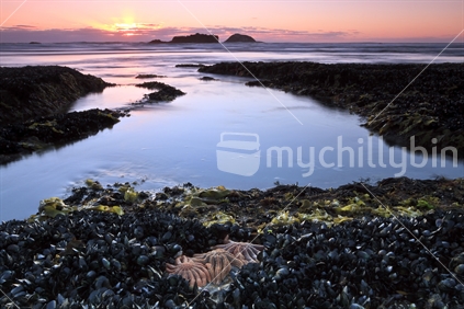 Low tide at Maori Bay on the West Coast. Auckland.