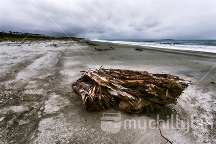 Rain is about to set in at Haast Beach, South Westland. South Island, New Zealand.