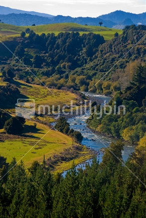 Idylic New Zealand rural scene; pasture, bush, and stream.