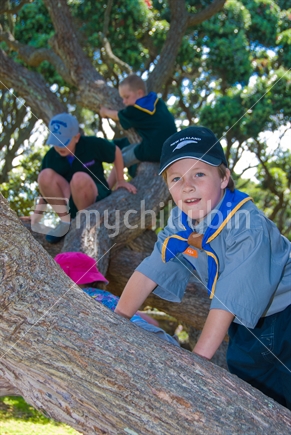 Kea group club members climbing trees