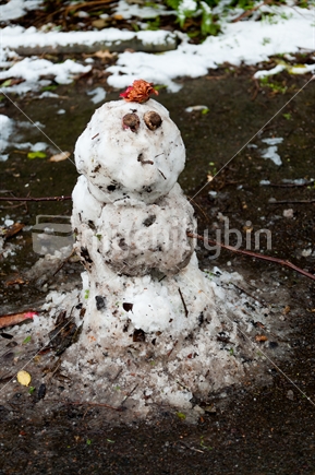 Snowman the day after!