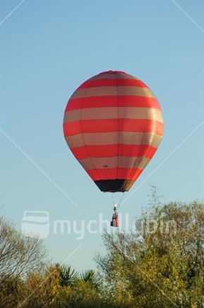 Balloon rising above trees