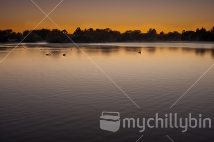 Sunrise over a lake with swans swimming in the distance