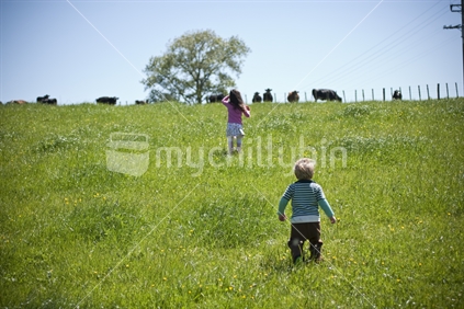 Little boy and girl running to see cows, New Zealand