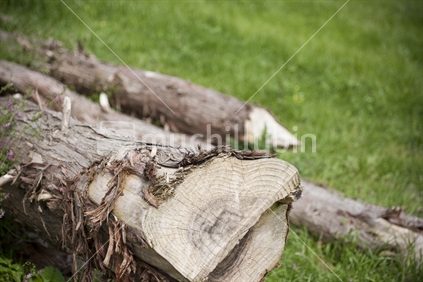 Logs on farm