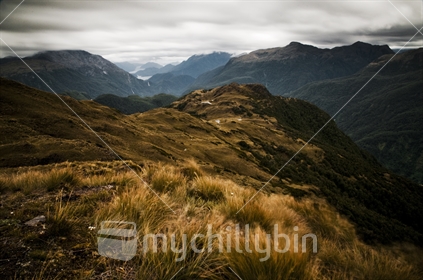 Tussock Country, Dusky Track