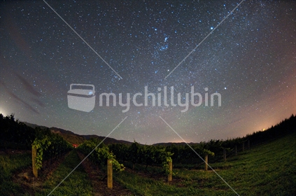 Stars over Vineyard, Marlborough