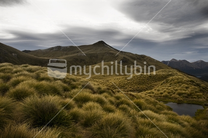 Tarn, Fiordland National Park, New Zealand