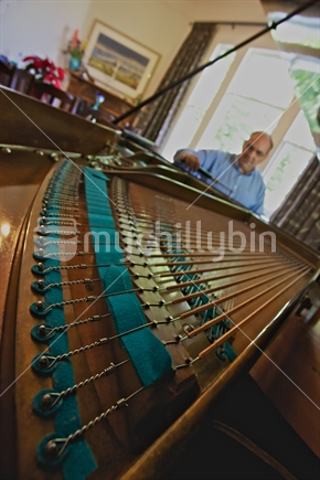 Piano tuner at work on Grand Piano.
