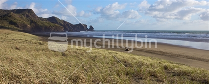 This was a shoreline shot of Bethells Beach North Island. I wanted to capture the wilderness wild quality of it, and some of the dune regeneration too.