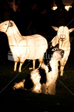 Auckland lantern festival; dog and sheep