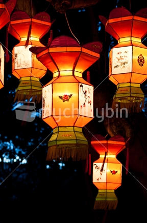 Auckland lantern festival lanterns