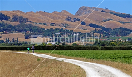 Father and son going for a bike ride in Hawkes Bay along the Landscape trail.  Te Mata Peak.