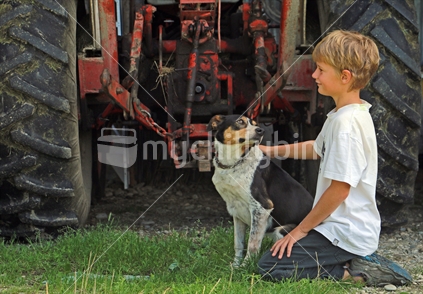 Boy with sheepdog in front of tractor