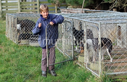 Boy letting out the farm dogs