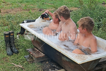 Three brothers having a spa bath outside on the farm with a sheep dog.