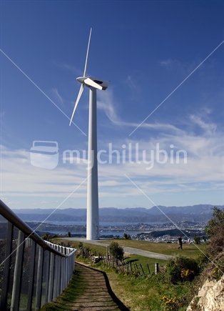 Wellington, with its wind turbine at Brooklyn, on a fine day.