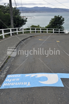 Warning signs painted on roads around Island Bay, Wellington, New Zealand;  providing safety warnings in case of earthquake and tidal waves. Sea at lower level in the distance. 