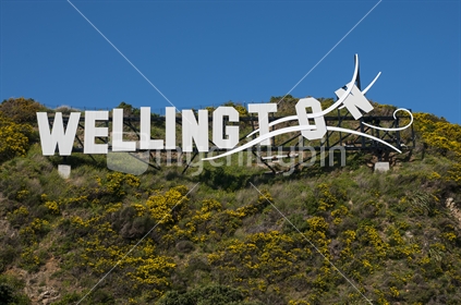 The windy Wellington sign on the hills by Miramar, as will be seen by people arriving by aeroplane into Wellington